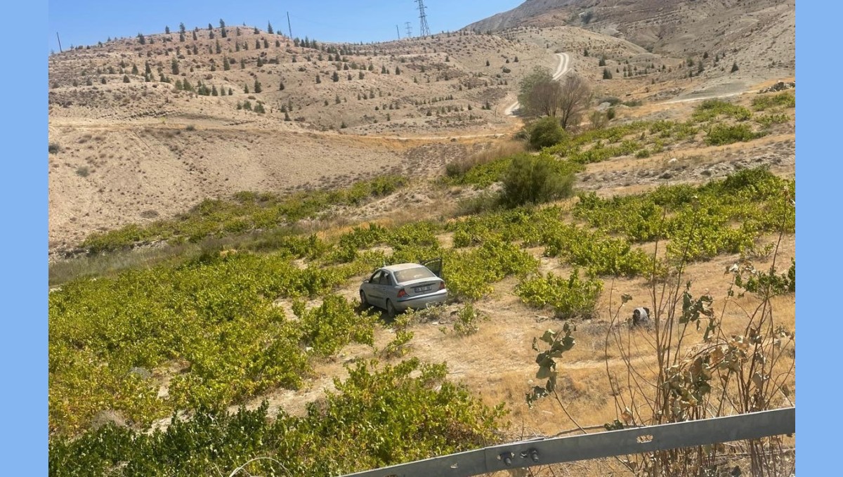 Malatya'da kontrolden çıkan araç üzüm bağına uçtu: 2 yaralı
