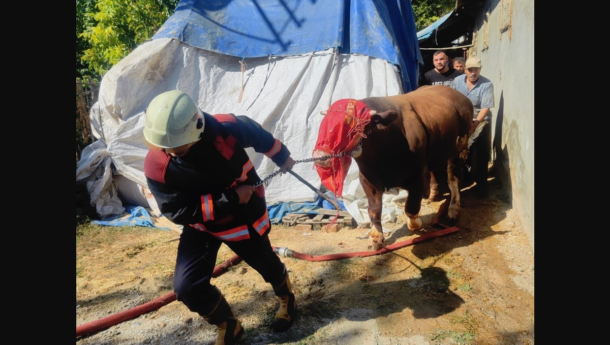 Malatya'da korkutan ahır yangını