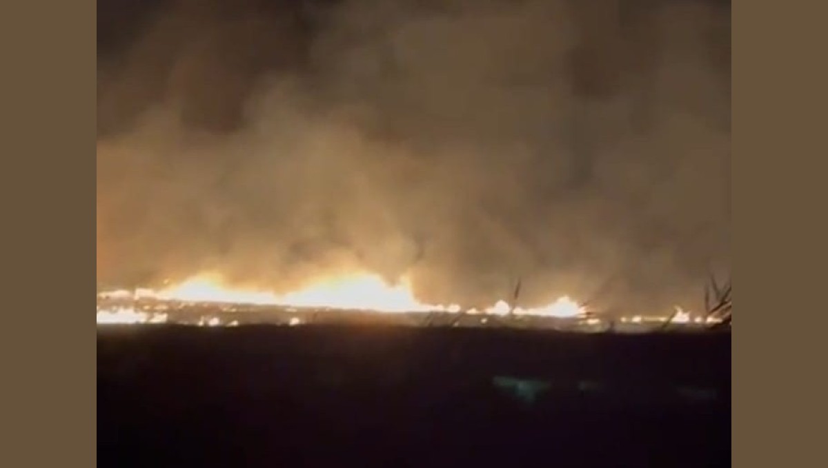 Malatya'da korkutan anız yangını