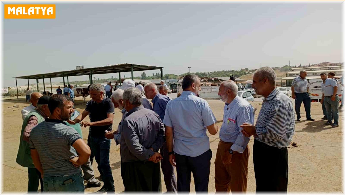 Malatya'da kurbanlıklar alıcılarını bekliyor