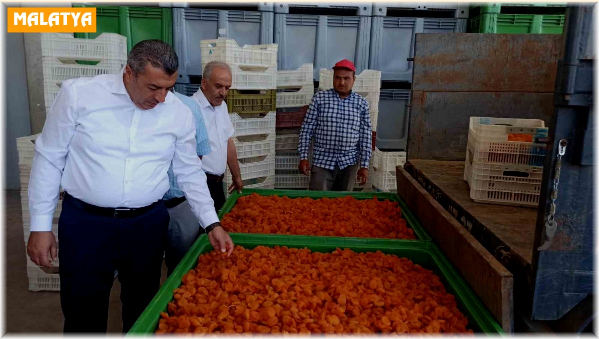 Malatya'da lisanslı depolar 2 haftada yaklaşık bin 500 ton ürün alımı yaptı