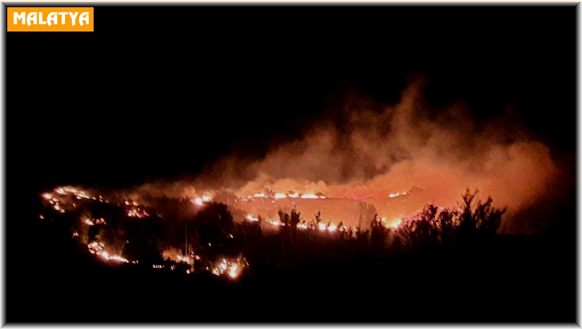 Malatya'da meyve bahçelerinin bulunduğu dağlık alanda yangın