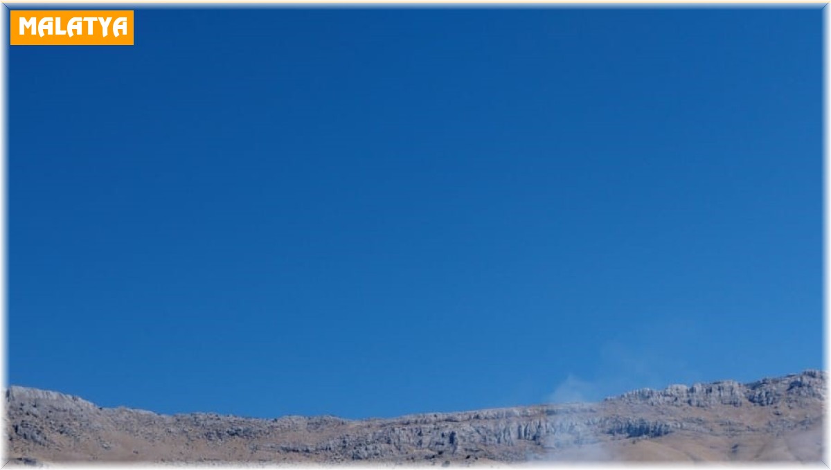 Malatya'da orman yangını, 1 yaralı