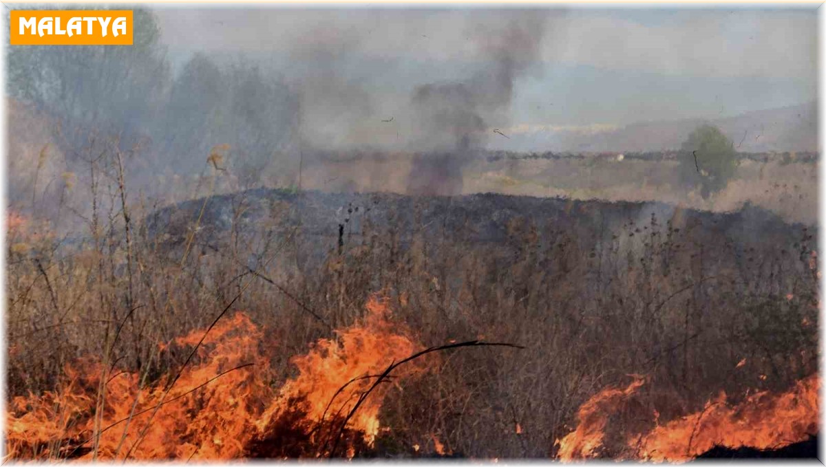 Malatya'da orman yangını