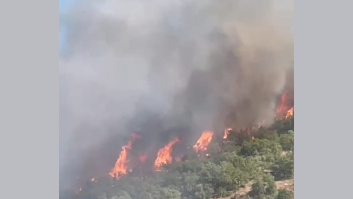 Malatya'da orman yangını