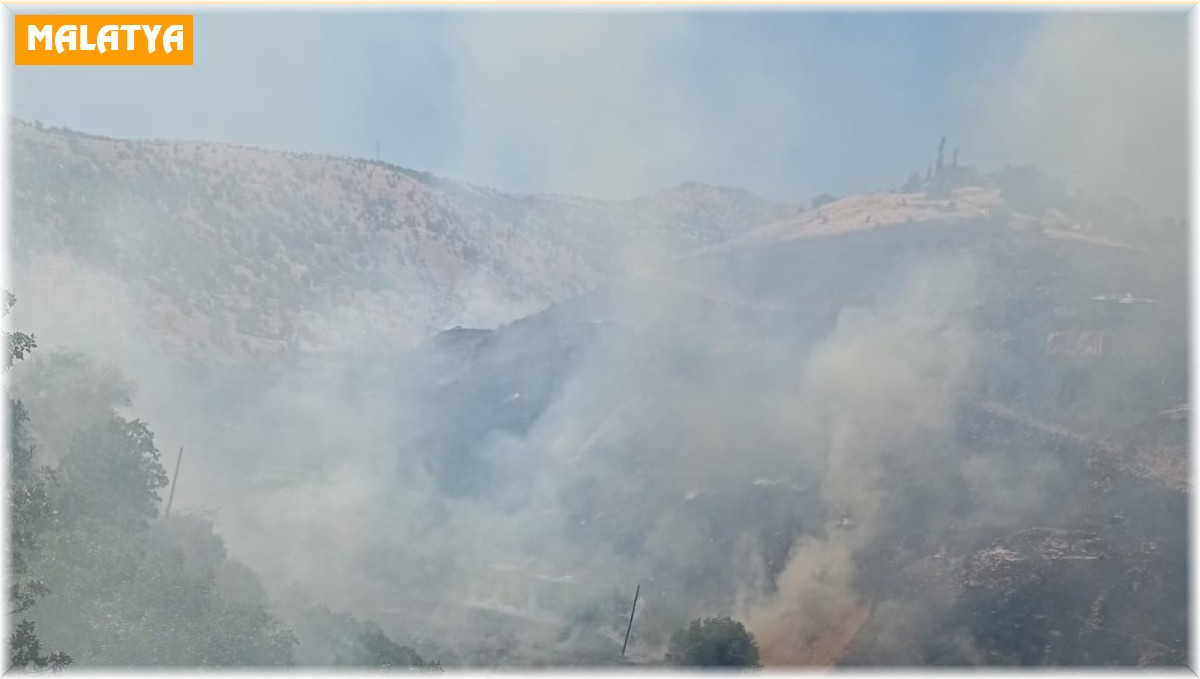 Malatya'da orman yangını