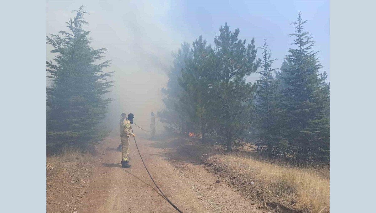 Malatya'da ormanlık alanda yangın