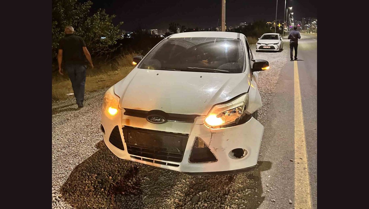 Malatya'da otomobilin çarptığı domuz telef oldu