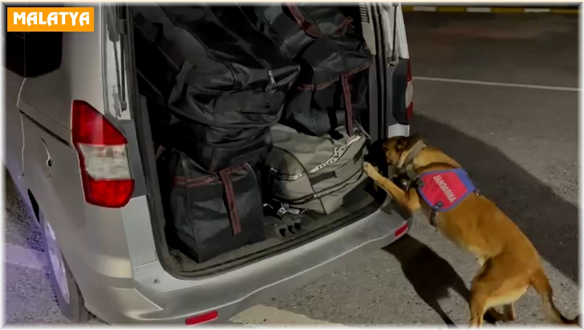 Malatya'da piyasa değeri 10 milyon TL olan uyuşturucu ele geçirildi