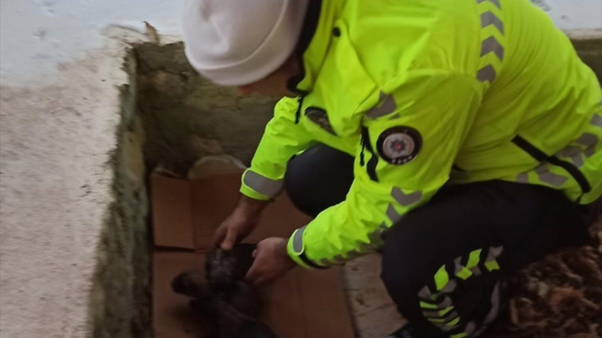 Malatya'da polis memurunun yavru köpek hassasiyeti yürekleri ısıttı