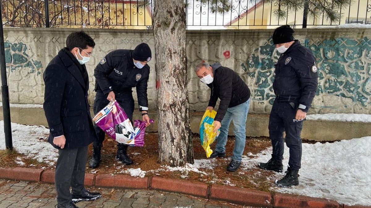 Malatya'da polislerden sokak hayvanlarına mama desteği