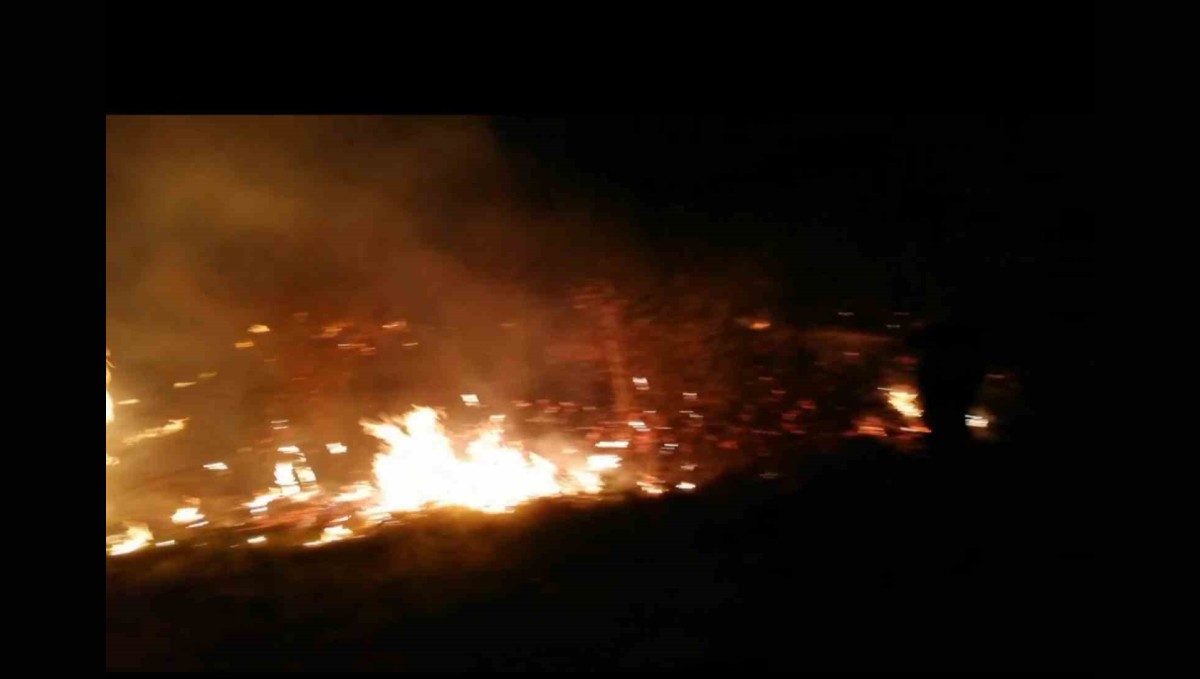 Malatya'da sazlık yangını