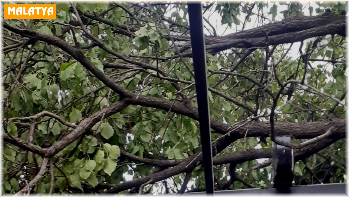 Malatya'da şiddetli fırtına etkili oluyor