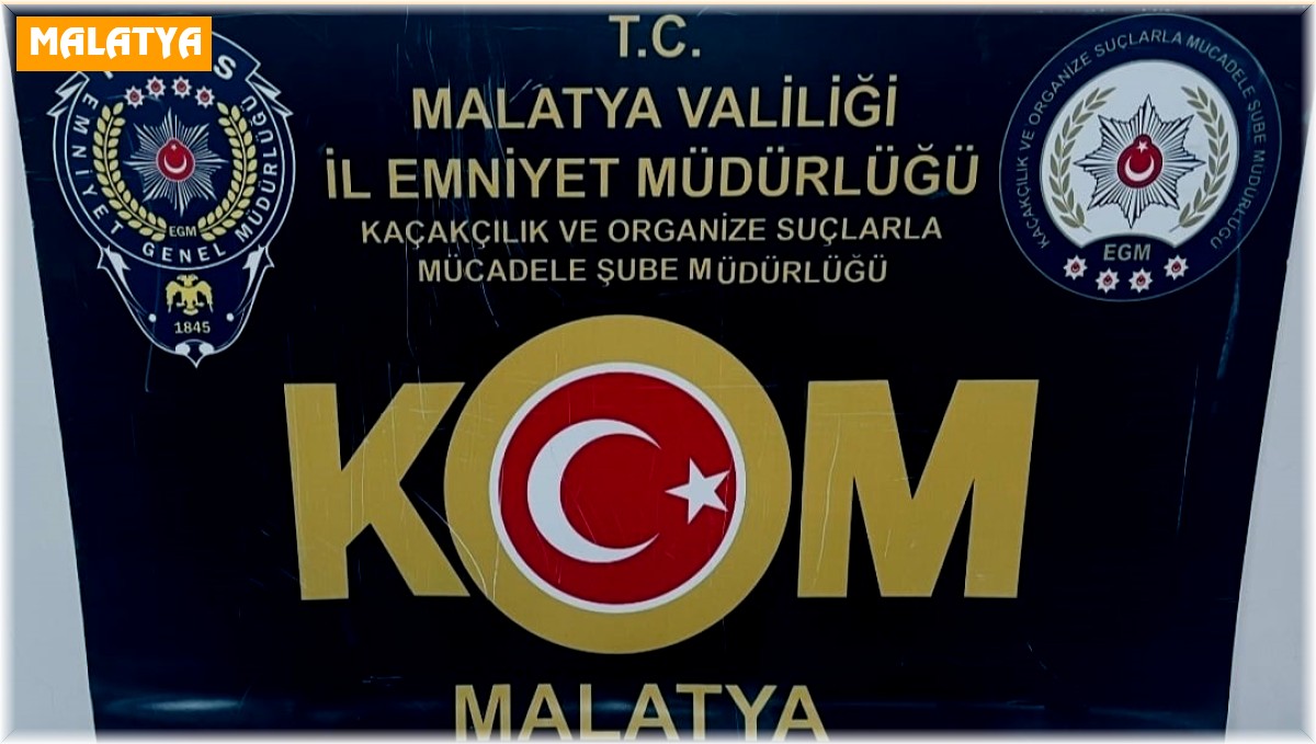 Malatya'da silah kaçakçılığı operasyonu: 1 gözaltı