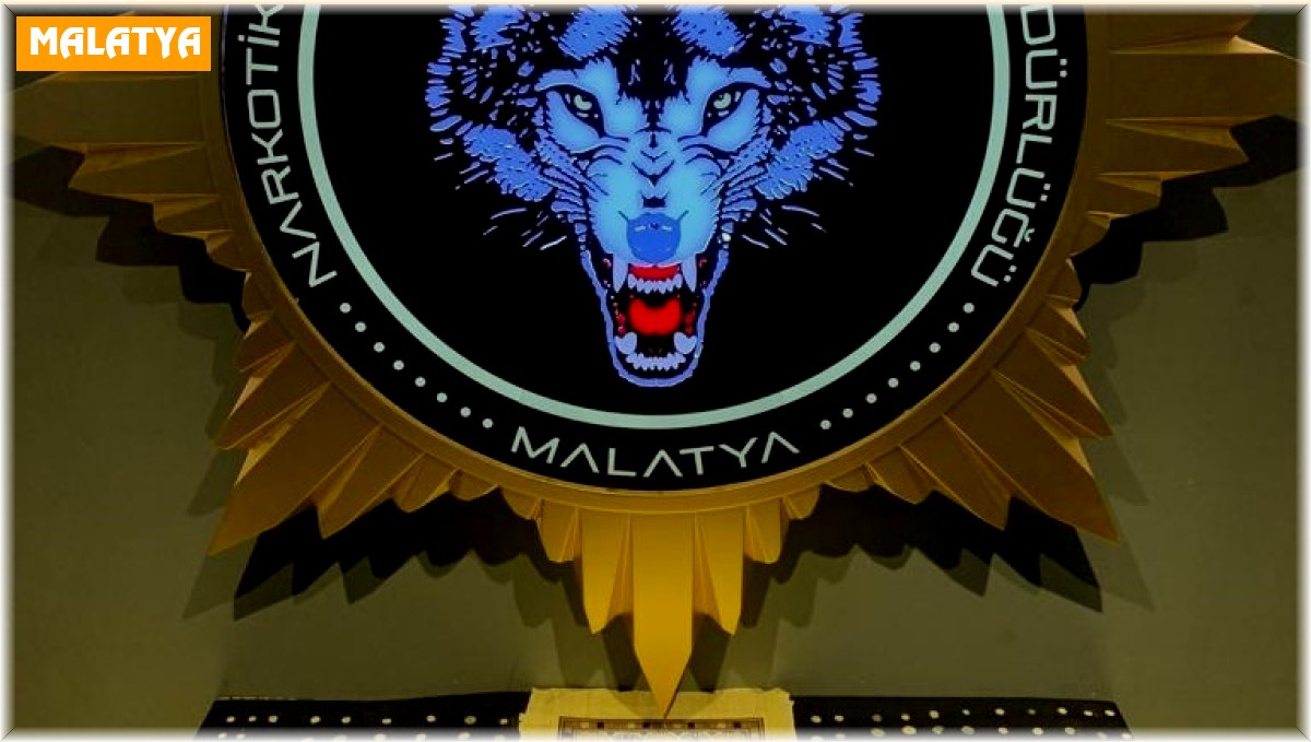 Malatya'da tarihi eser operasyonu