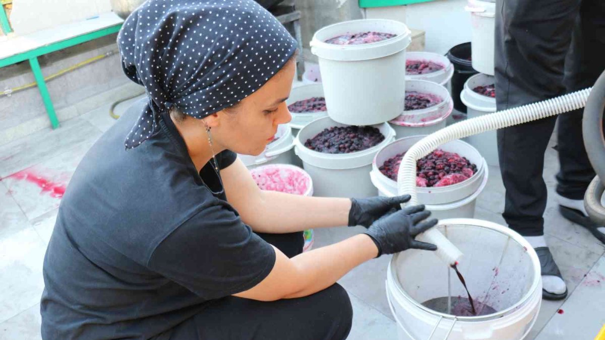 Malatya'da üretip dünyanın dört bir yanına gönderiyorlar