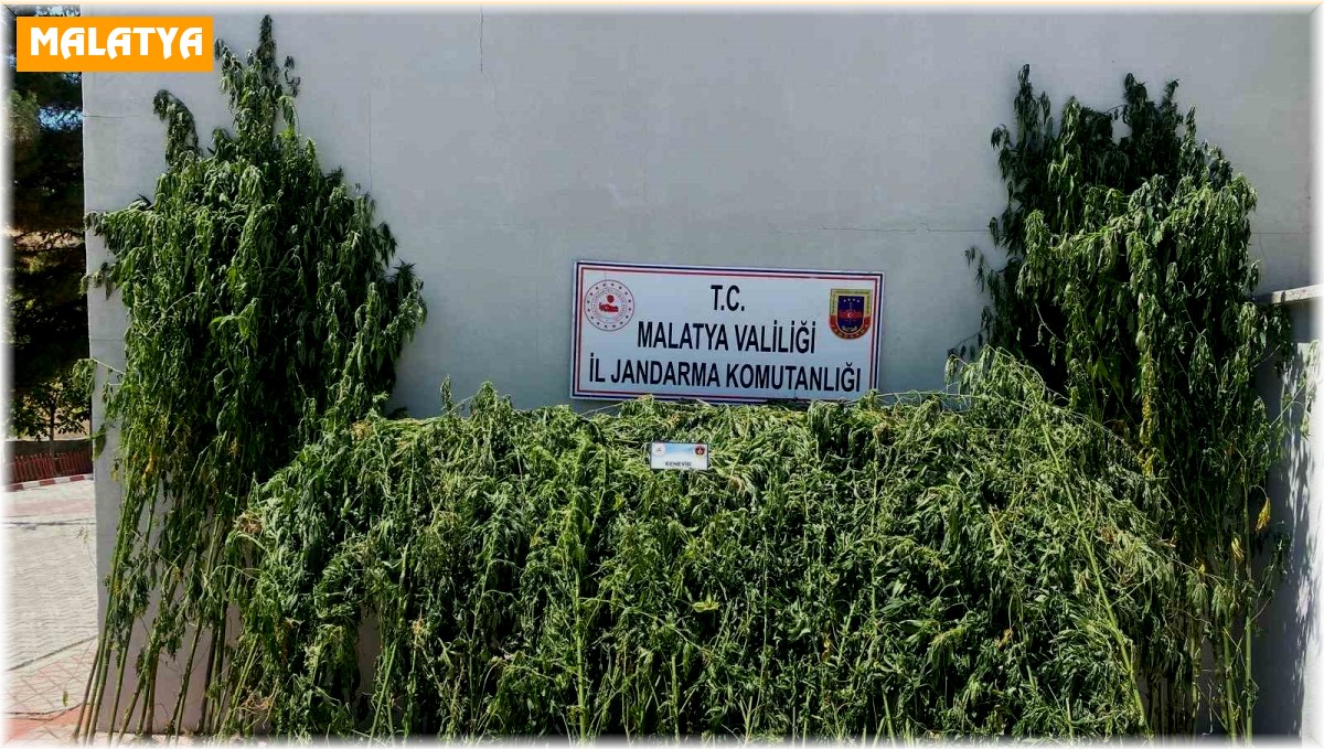 Malatya'da uyuşturucu operasyonu