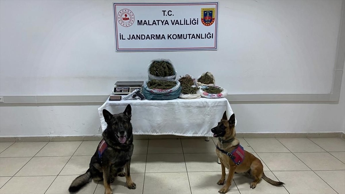 Malatya'da uyuşturucu operasyonunda yakalanan zanlı tutuklandı