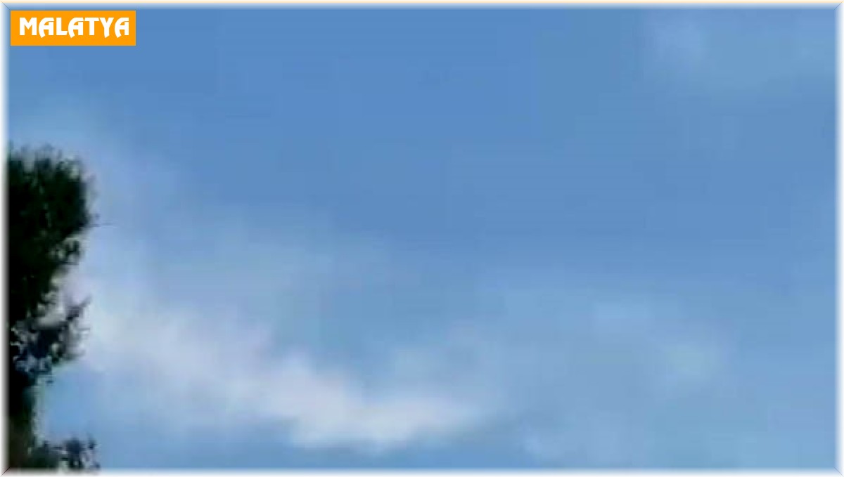 Malatya'da yaban keçileri sürü halinde görüntülendi