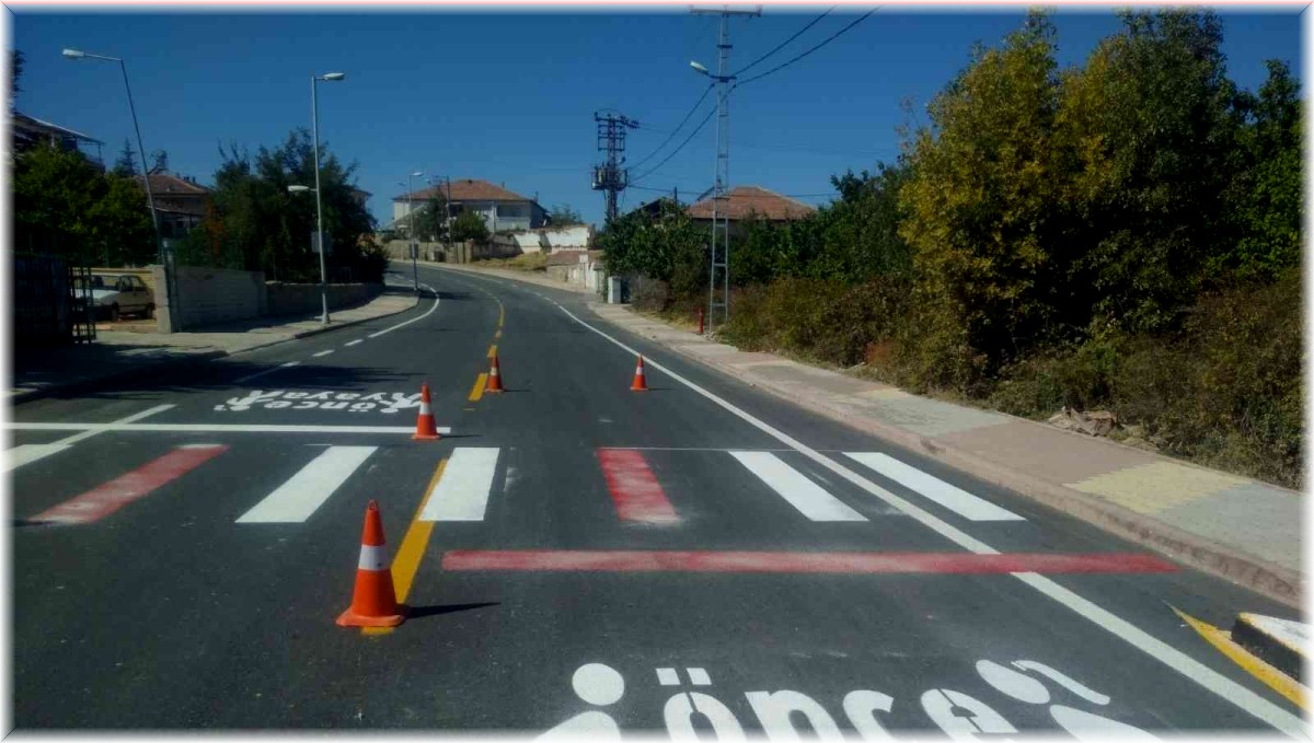Malatya'da yaya güvenliği için çalışmalar sürüyor