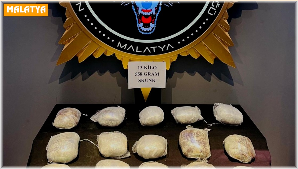 Malatya'da yolcu otobüsünde 13 kilogram skunk ele geçirildi