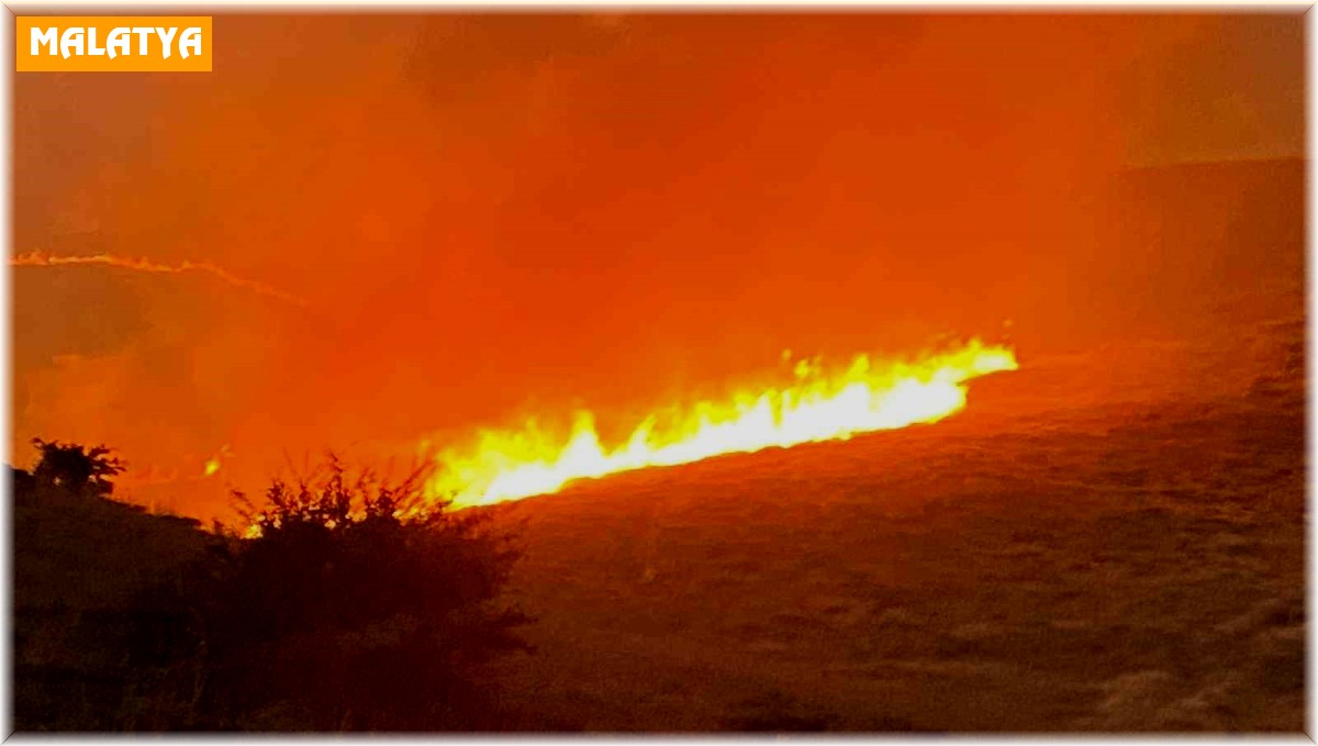 Malatya'da yüzlerce dönüm alanda anız yangını