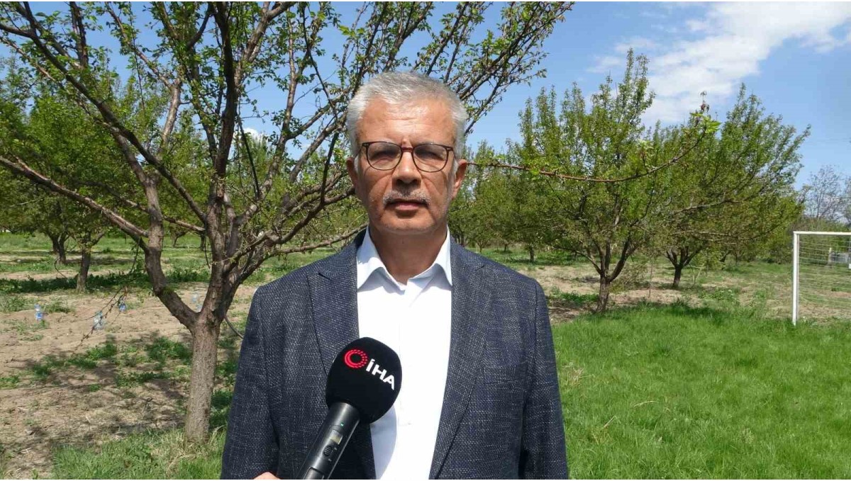 Malatya'da yüzyılın en büyük zirai ürün kaybı