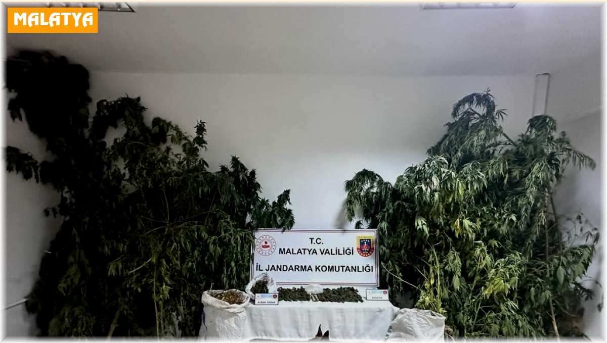 Malatya'da zehir tacirlerine büyük darbe