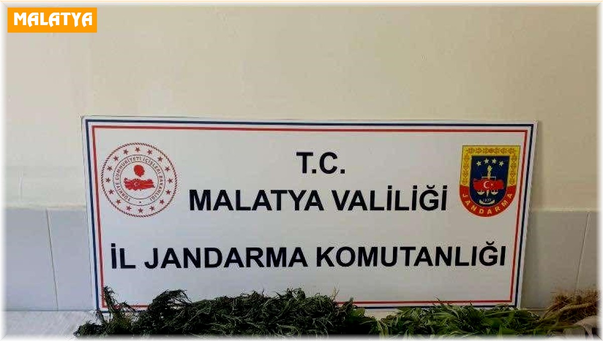 Malatya'da zehir tacirlerine geçit yok