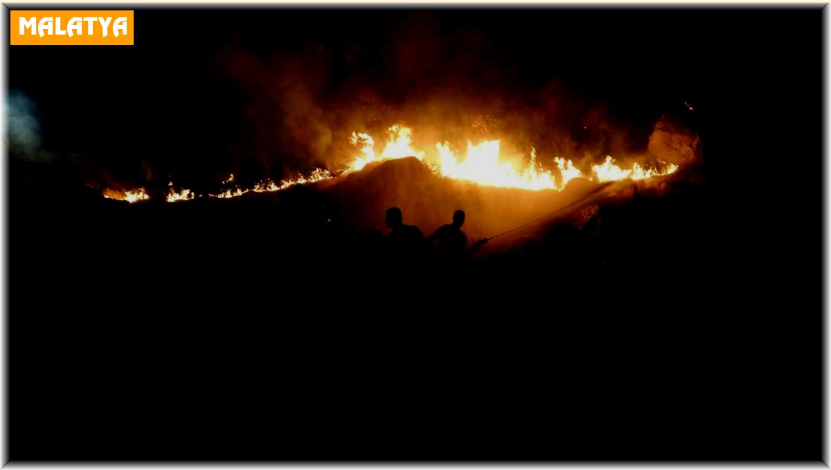 Malatya'daki dağlık alanda çıkan yangın kontrol altına alındı