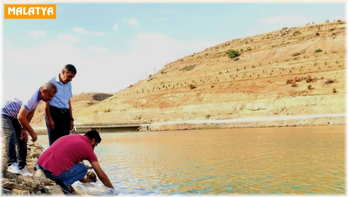 Malatya'daki göletlere 2 milyon yavru balık