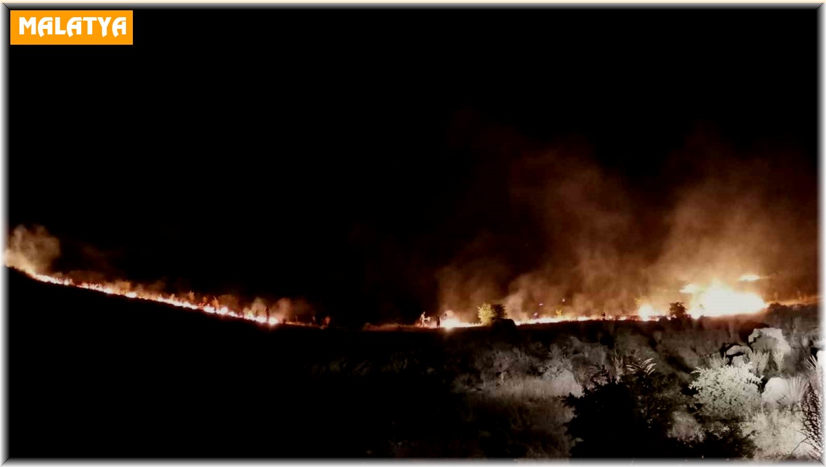 Malatya'daki orman yangını kontrol altına alındı