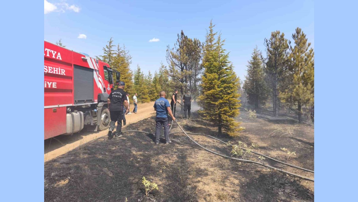 Malatya'daki orman yangını söndürüldü