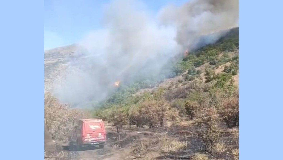 Malatya'daki orman yangını söndürüldü