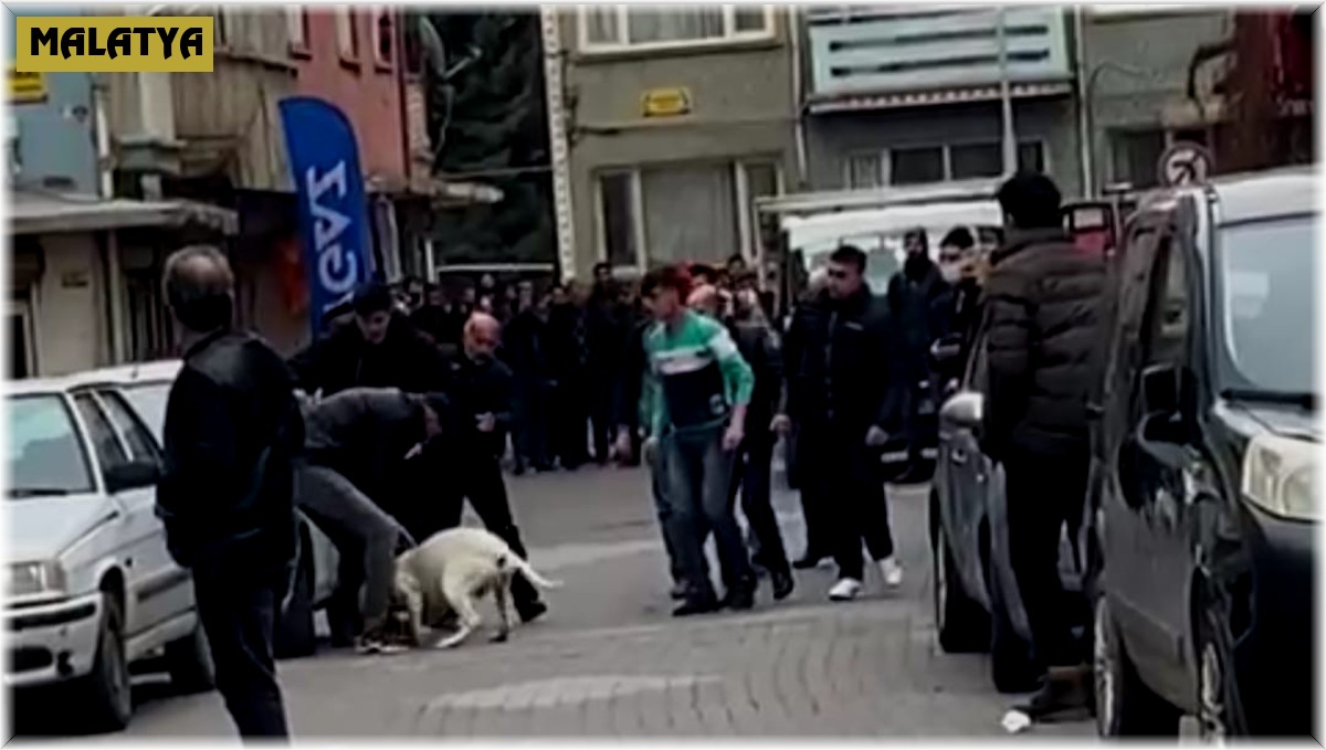 Malatya'daki pitbullu saldırı anı kamerada
