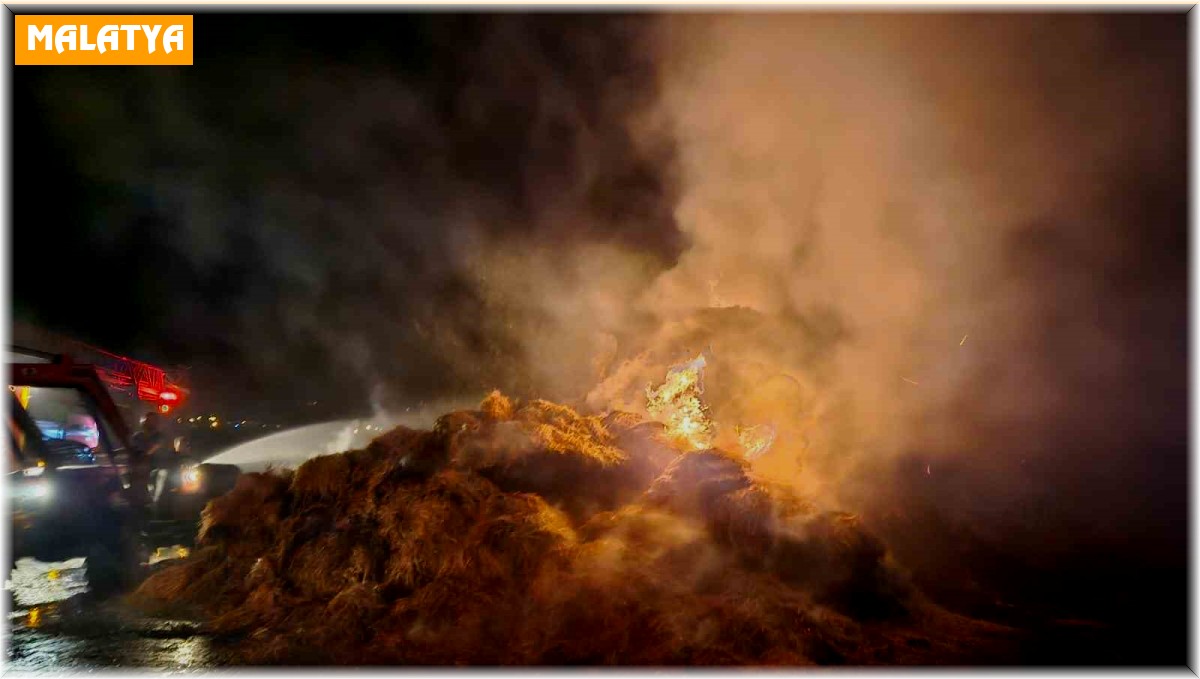 Malatya'daki samanlık yangını korkuttu