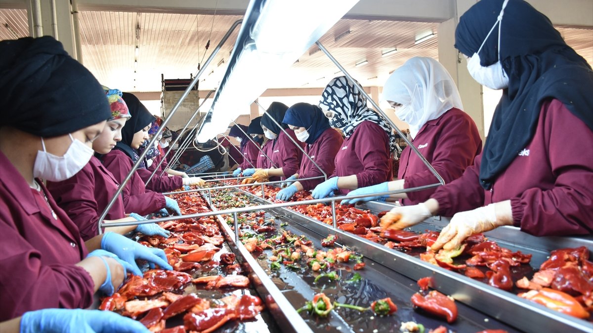 Malatya'dan Avrupa ülkeleri ve ABD'ye dondurulmuş gıda ihracatı