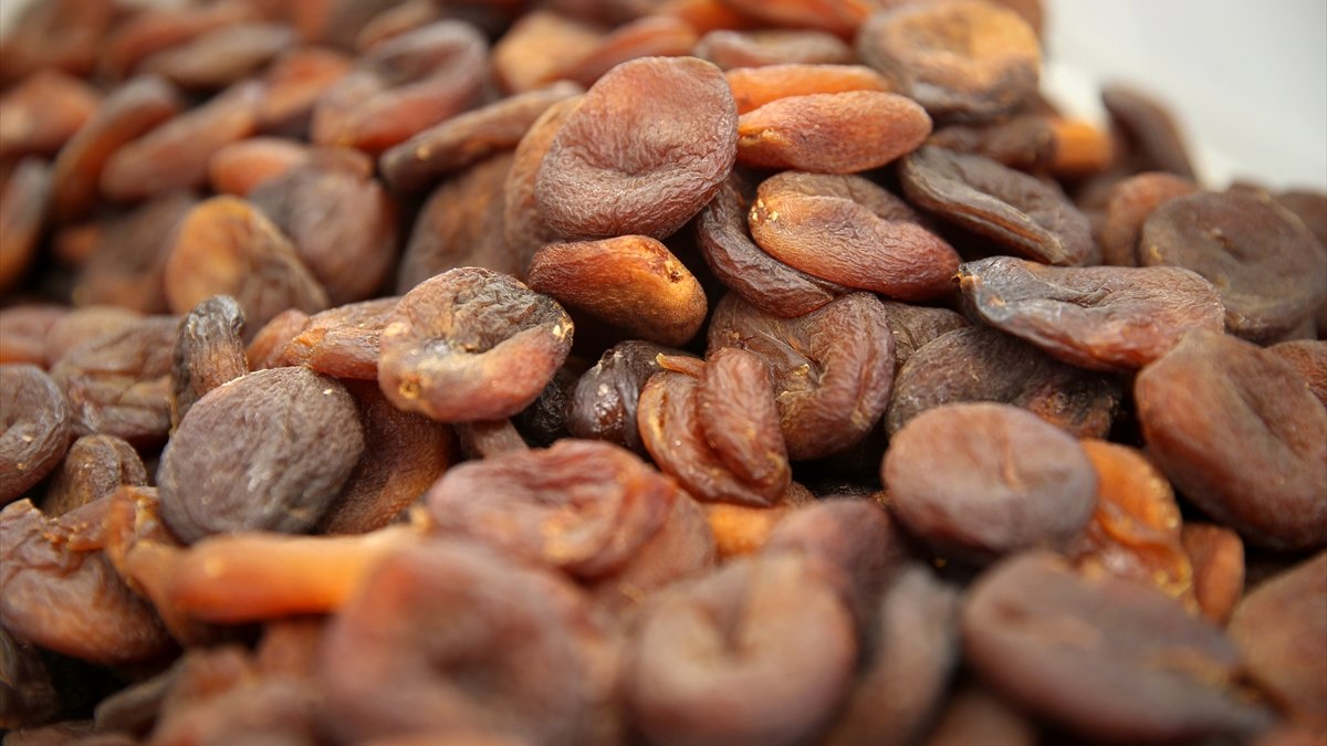 Malatya'dan yılın ilk yarısında 168 milyon dolarlık kuru kayısı ihracatı yapıldı