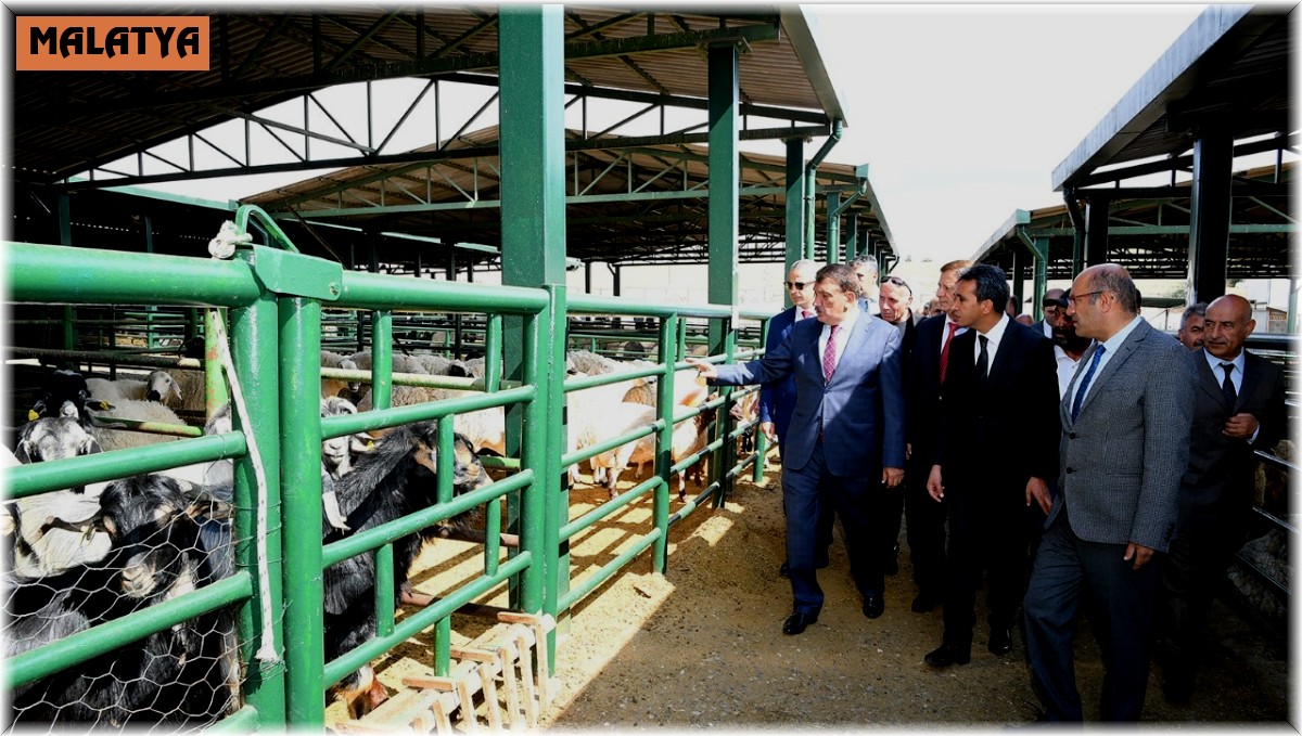 Malatya Hayvan Pazarı yenileniyor