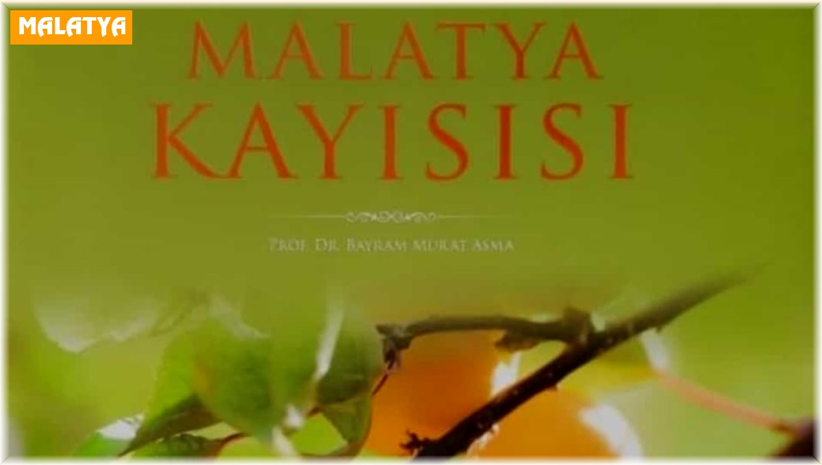 Malatya kayısı isimli kitap ödüldü getirdi