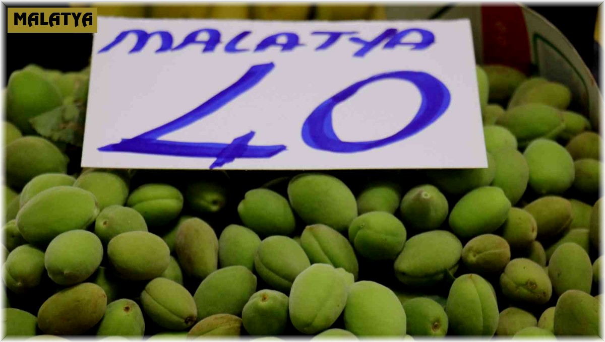 Malatya kayısısı çağlaları tezgahlardaki yerini aldı