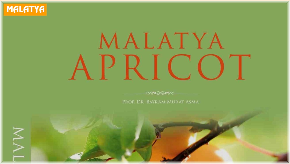 Malatya Kayısısı Kitabı, Riyad'da en iyilerle yarışacak