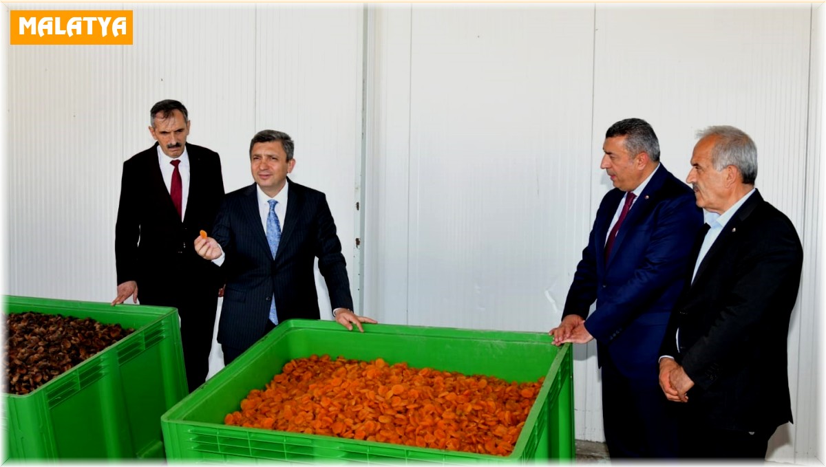 Malatya kayısısında 2023 yılı tahmini rekoltesi 77 bin 170 ton olarak açıklandı