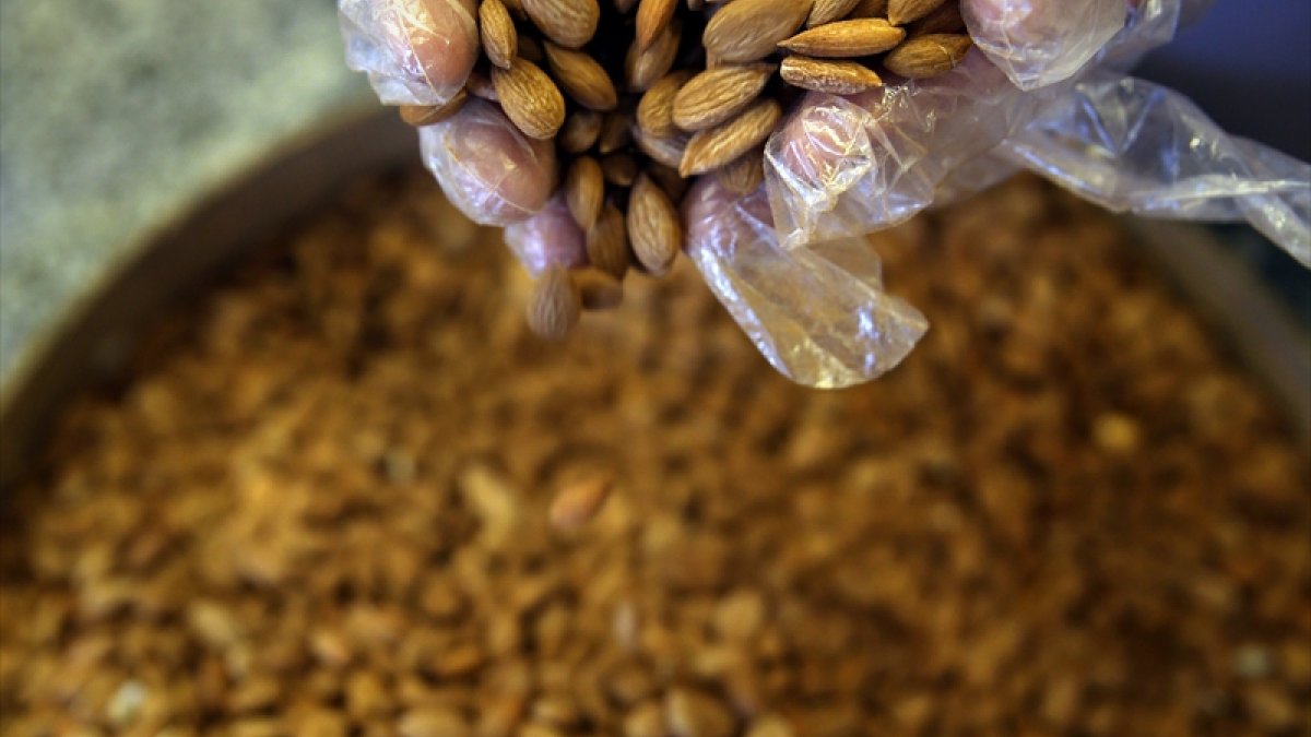 Malatya kayısısının üretim maliyetini çekirdeği karşılıyor