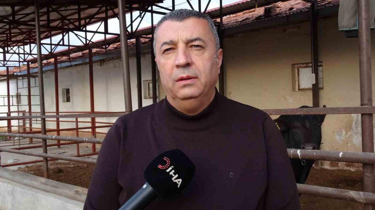 Malatya kırmızı ette ilk 5’te: 200 milyon dolarlık üretimle dikkat çekiyor