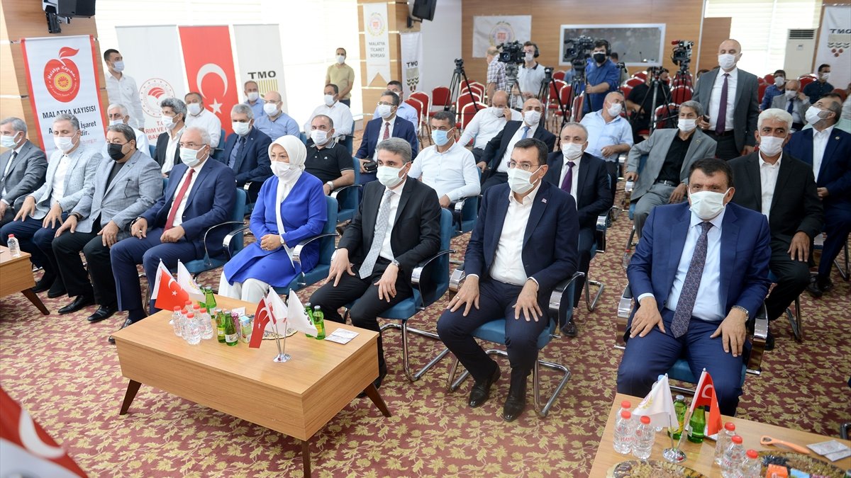 Malatya Kuru Kayısı Alım Fiyatının Açıklanması Programı