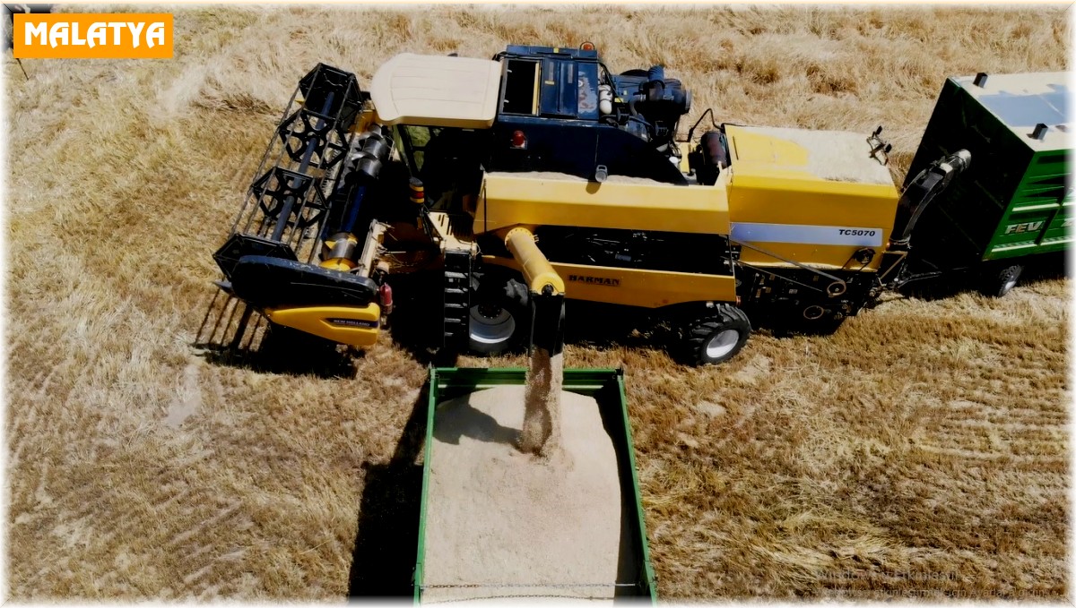 Malatya'nın 'Çukurovası'nda bu yıl hububat bolluğu var