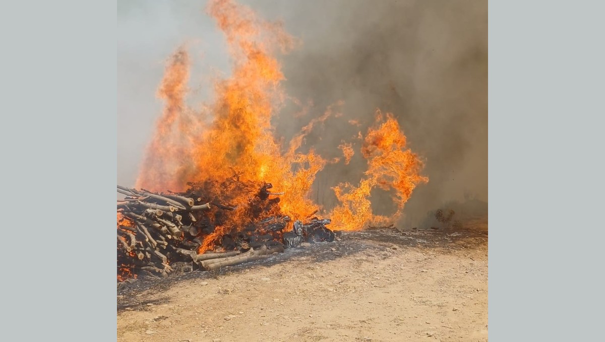 Malatya'nın Doğanyol ilçesinde orman yangını