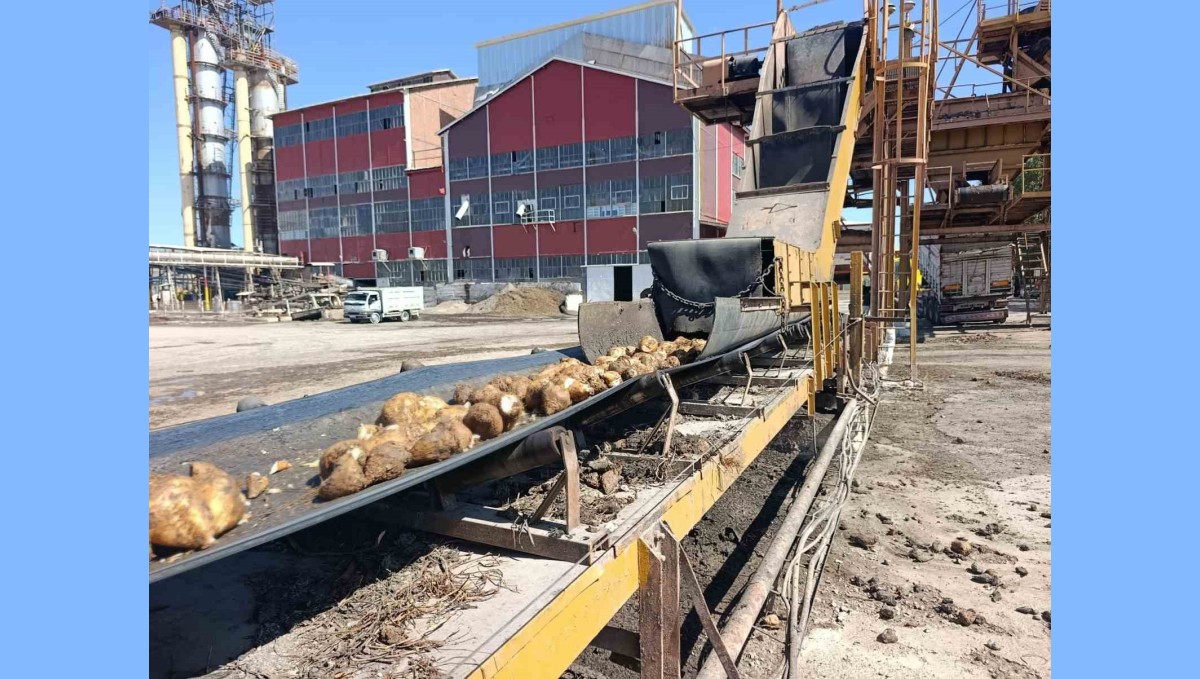 Malatya Şeker Fabrikası'nda 62 bin ton şeker üretimi hedefleniyor