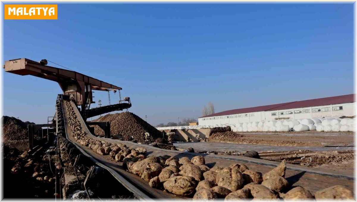 Malatya Şeker Fabrikası'nda bu yıl hedef 65 bin ton şeker üretimi